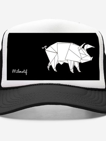 HATpig