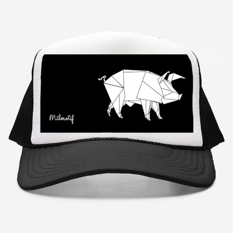 HATpig